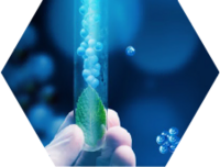 Steuerberater E-Commerce / Onlinehandel Referenz PharmaSGP 